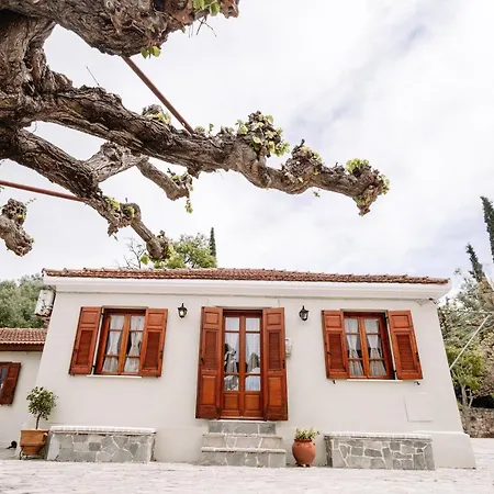Holiday home Kymanemi Zakynthos House